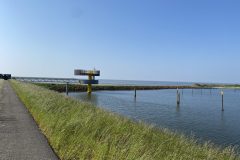 Aussichtsplattform im Waddenhaven mit Blick über das Wattenmeer
